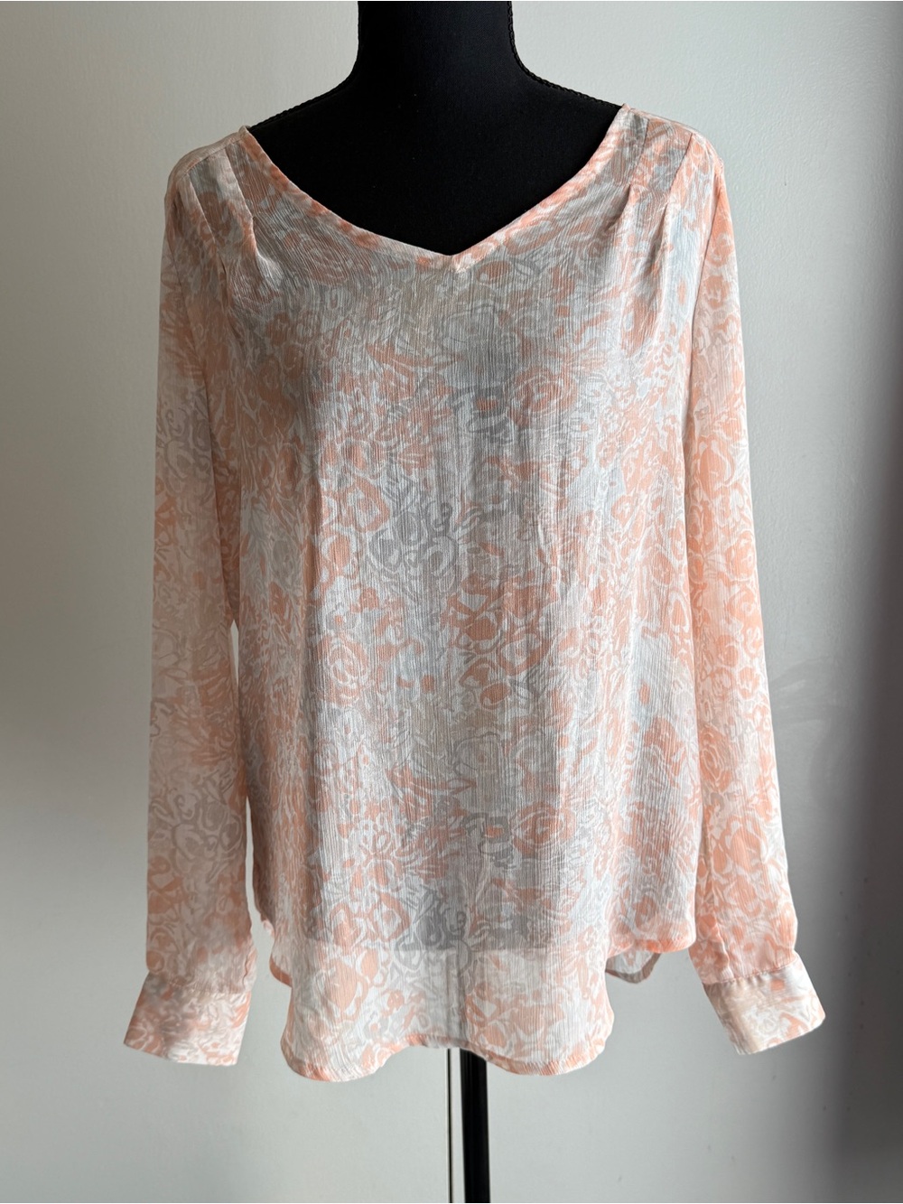 Rose & Olive Sheer Longsleeve Blouse Top Women's Size Small